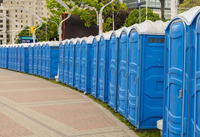 colorful portable restrooms available for rent at a local fair or carnival in Afton